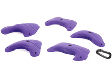 Amoebas - Large Set 1