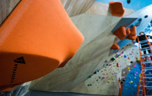 Torso Macro 6